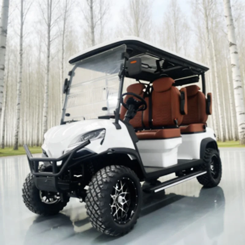 60V/72V Lithium 4000/5000/7000W Electric Golf Cart Body Color And Seat Color Brown High-End Seats Armrests Gear Adjustment