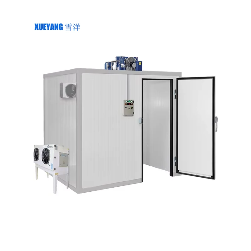 ห้องเย็นในเชิงพาณิชย์ ห้องเย็นและห้องแช่แข็ง เดินในห้องเย็นในเครื่องทําความเย็น