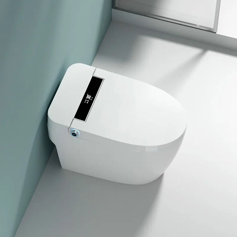 Watermark Smart Toilet One Piece Elongated Bidet Toilet Intelligent Toilet