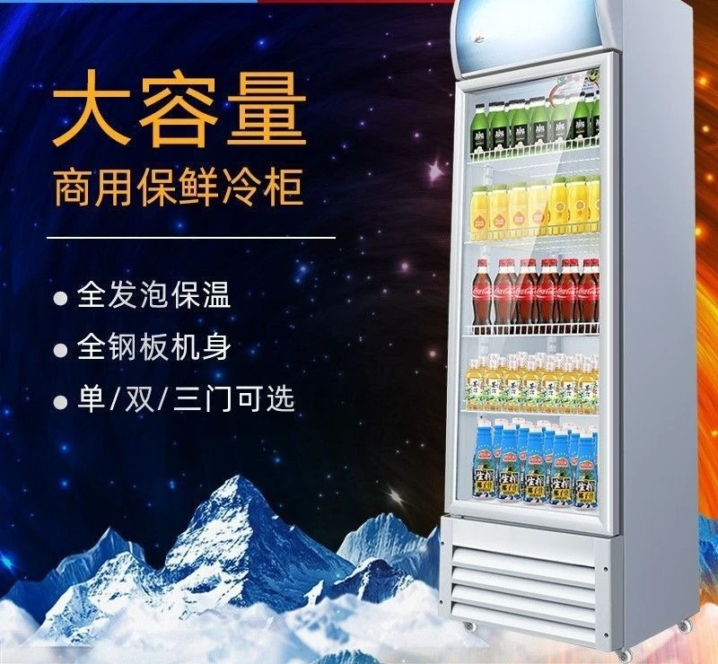 Kühlvitrine Vertikaler kommerzieller eintüriger Gefrierschrank