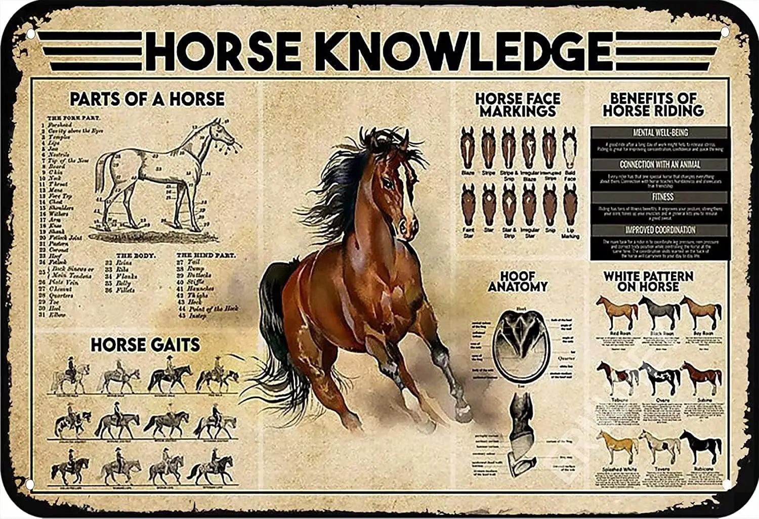 Horse Knowledge Metal Tin Sign,Benefits Of Horse Riding,Restaurant Cafe Retro Plaque Racecourse Posters Bar Outdoor Sign Room De