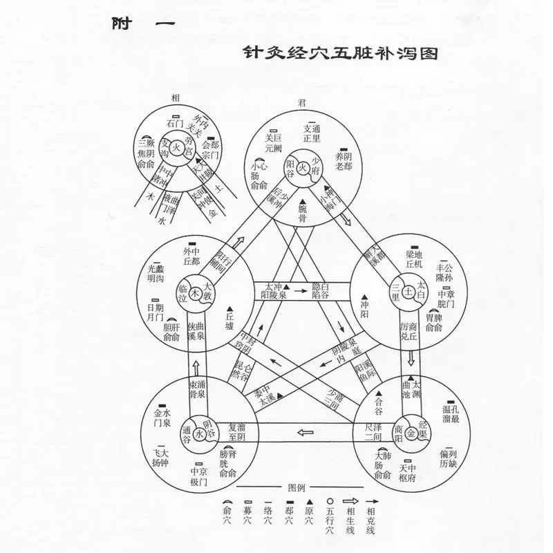 Shan Yutang's Treatise on Acupuncture and Moxibustion and Moxibustion with Acupoints Chinese Books Medicament  Moxibustion