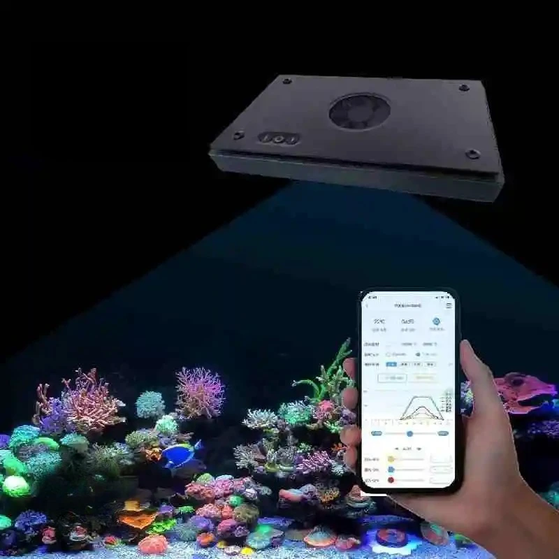 Wholesale Aquarium …