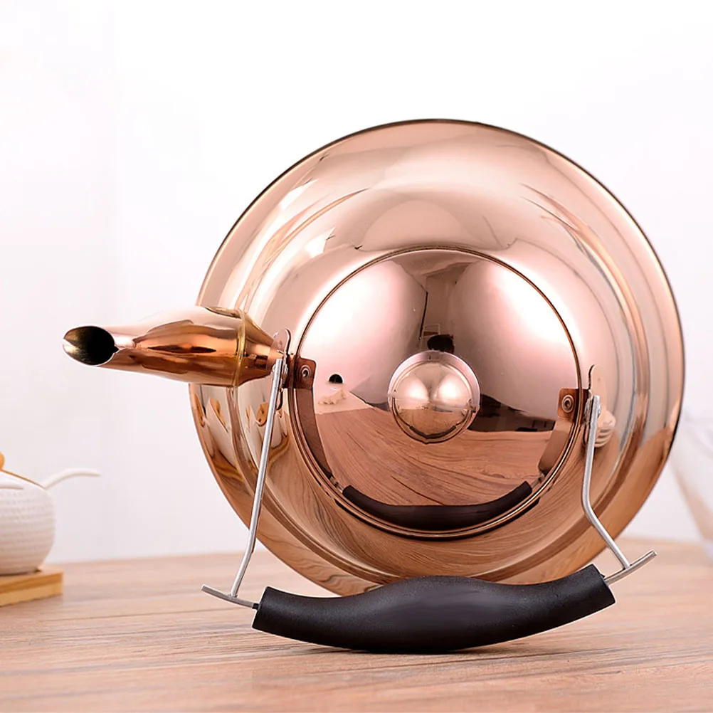 

304 Stainless Steel Teakettle Heat Insulated Handle Whistling Water Boiling Kettle Large Spout Anti Scalding Stovetop