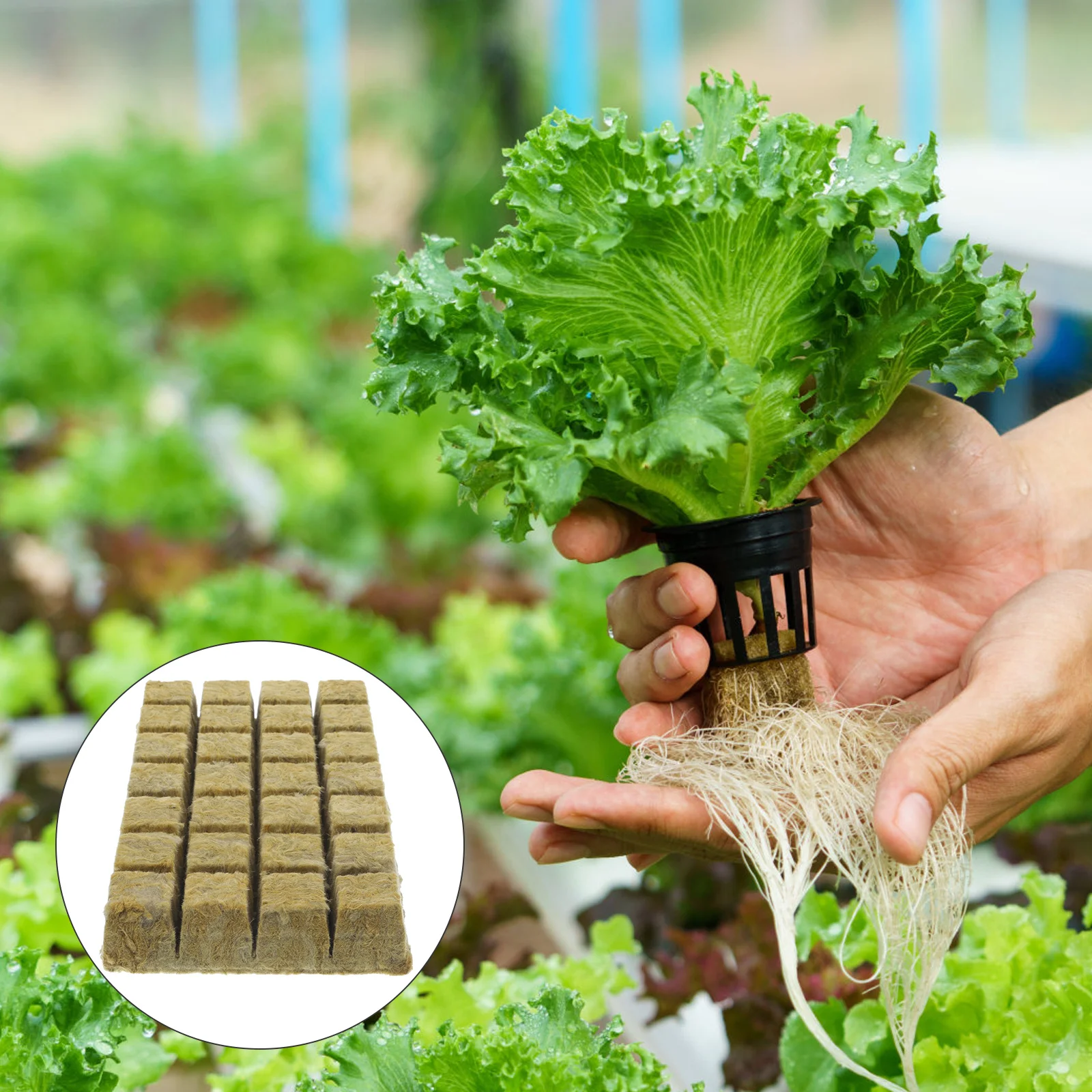 

1Set Propagation Cubes Soilless Cultivation Blocks High Success Transplant Hydroponic Block Nursery Soil for Vegetable