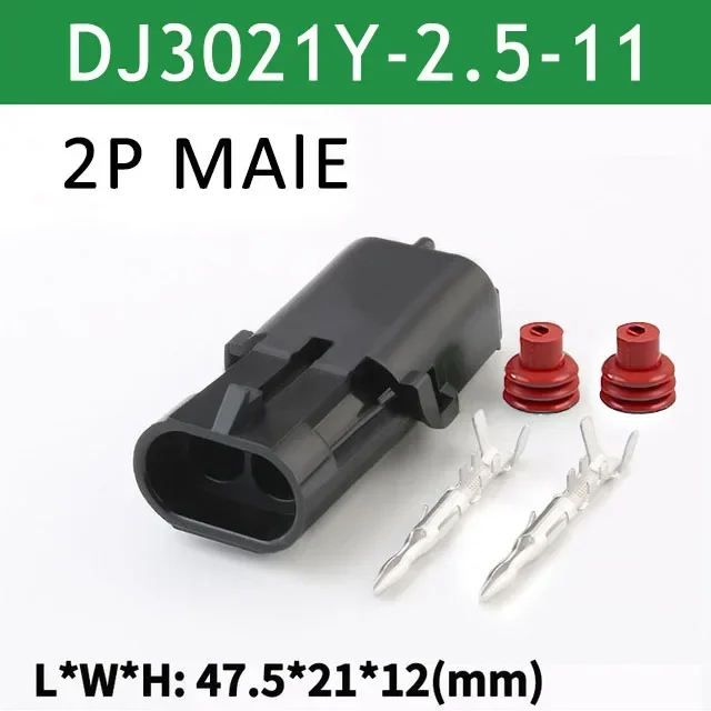 2P Male