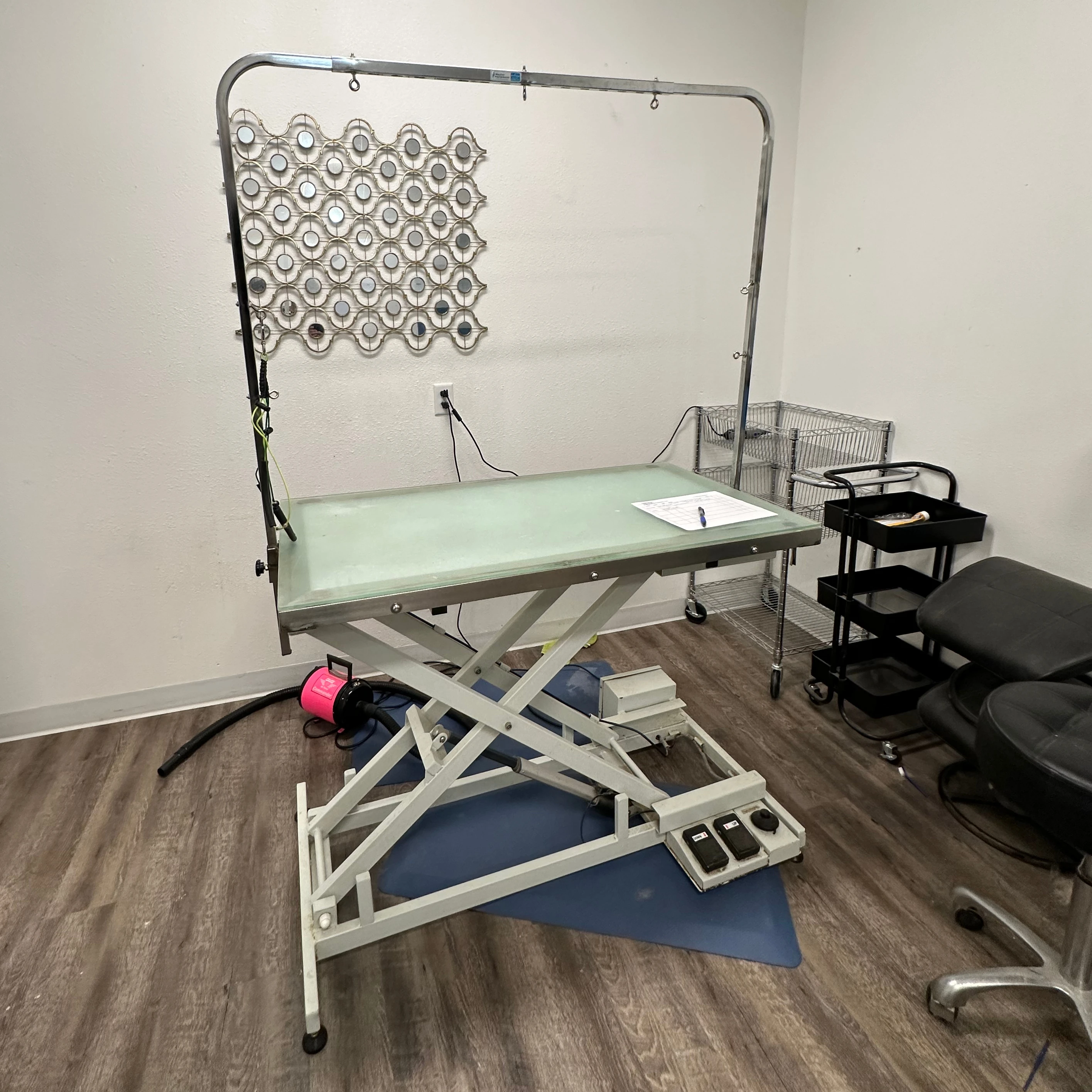 

Pet Grooming Competition / Teaching Demonstration Table LED Lighting Pet Grooming Table