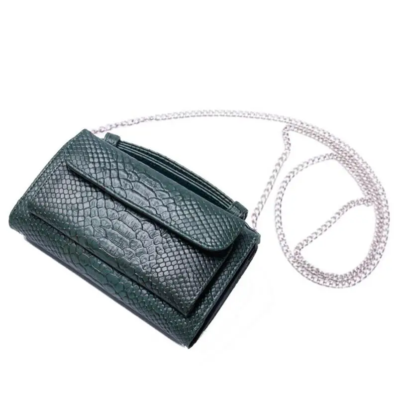 Fashion Small Chain Handbags 2024 New European Style Women Bag Serpentine Messenger Shoulder Bags Female Evening Clutch Bags