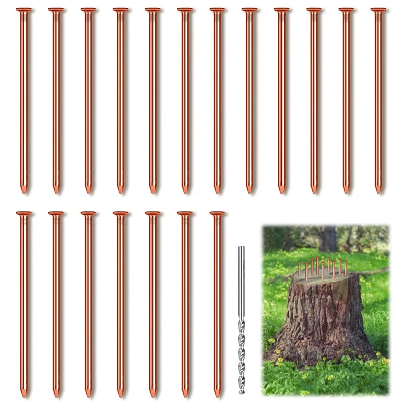 A59E-25Pcs clous en cuivre pour souches d'arbre 3.14 pouces de Long clous en cuivre pur en vrac avec foret pour enlever les clous de souches pour arbre