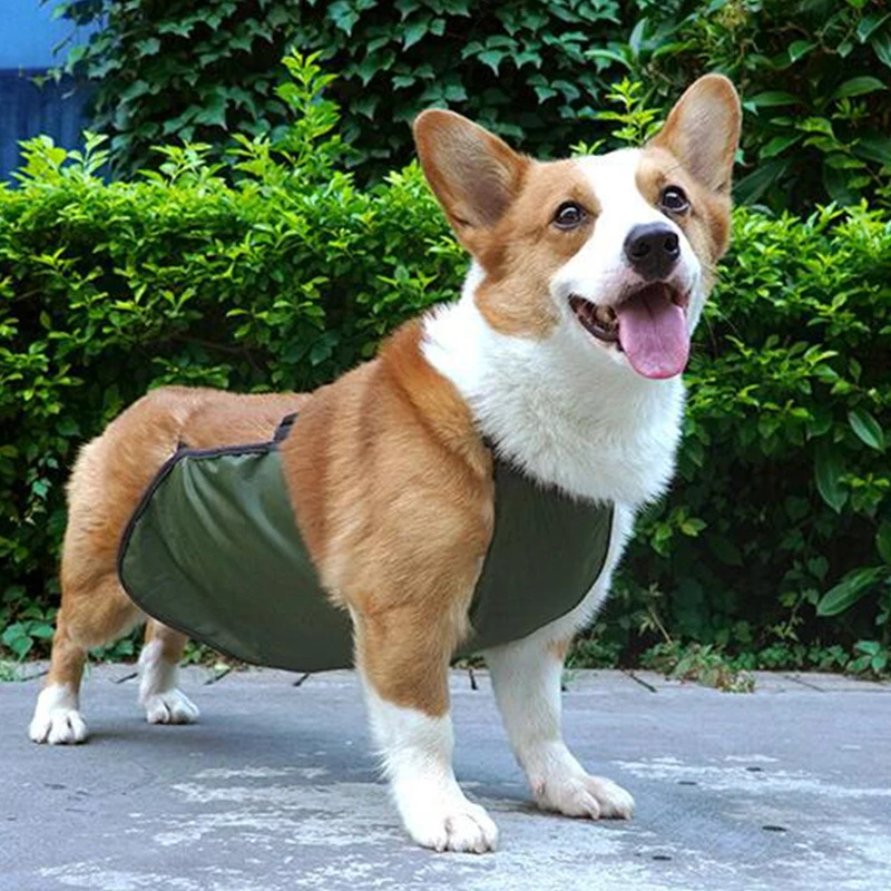 Pug Corgi Pet Dog Bellyband Clothes Waterproof Breathable Anti-dirty Belly Cover Bib Pocket Dog Costume Corgi Bellyband Vest