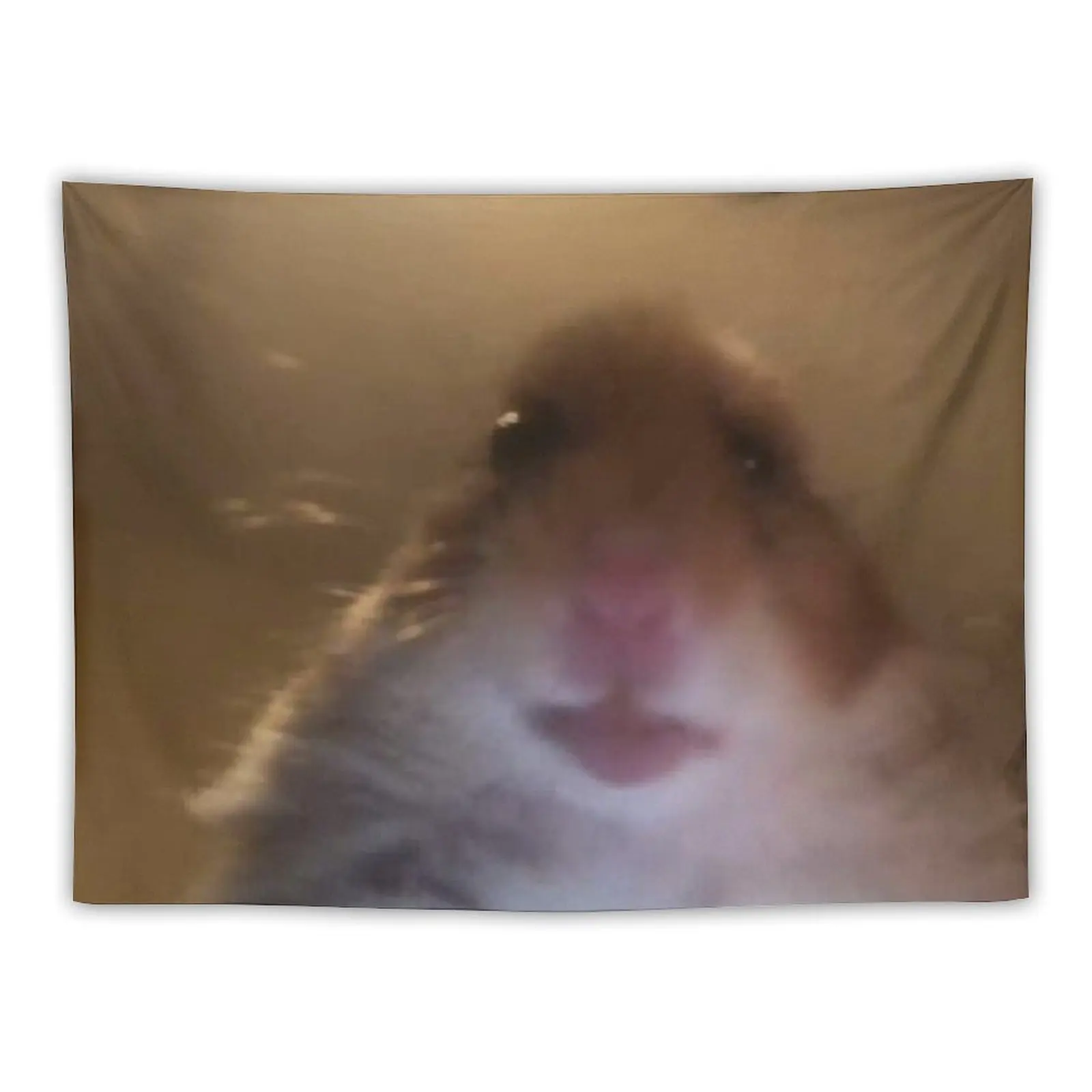 

staring hamster meme Tapestry Decoration Pictures Room Wall Room Decorations Aesthetic Bedroom Decorations Tapestry