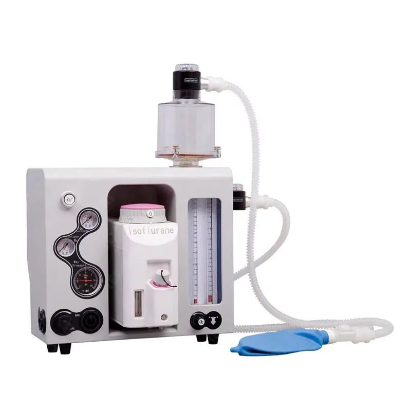 

Medical Anesthesia Equipment Vet Hospital Clinic Veterinary Gas Anesthesia Machine