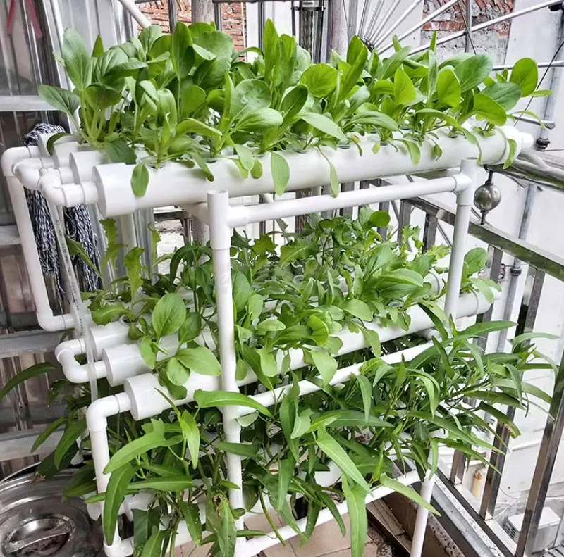 Automatic Home Garden Aquaponics Hydroponic Irrigation Farming Supplies Complete Vertical Hydroponic System For Grow Vegetables