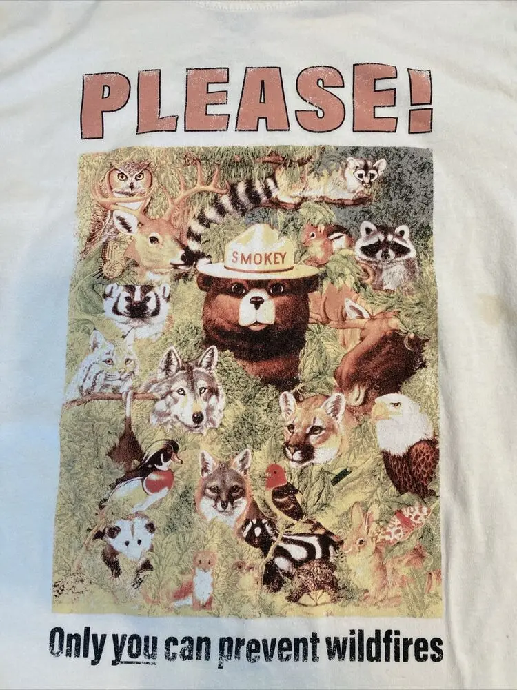 Smokey The Bear Wildfires T-shirt Oversized T-shirts for Women/Men Clothing