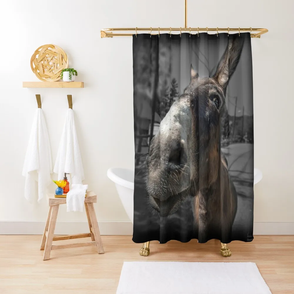 

Close up Donkey Face Shower Curtain Toilet Accessories Bathroom Bathroom Fabric Waterproof Fabric Shower Curtain