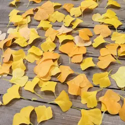 100PCS Artificail Ginkgo Leaves Faux Falling Leaf Autumn Atmosphere Home Decoration Yellow Party Supplies Photo Props Holiday