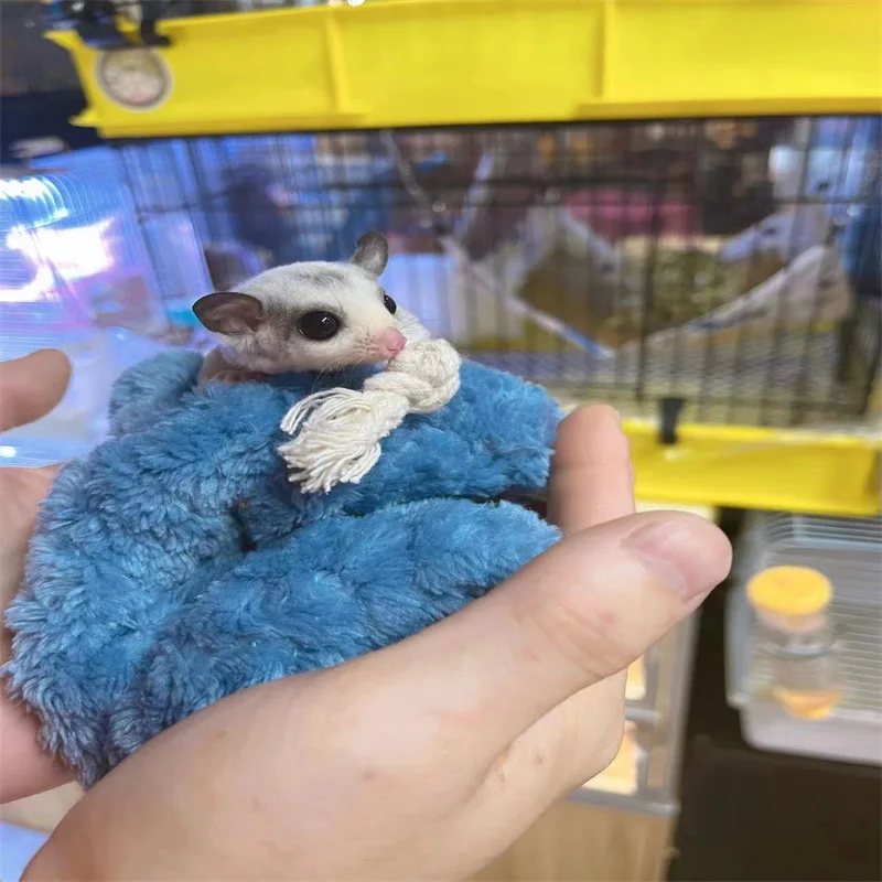 Mini Sugar Gliders Sleeping Pouch Hamster Bag Squirrels Marmosets Rats Carrier Hamster Chinchilla Outing Bag Accessories