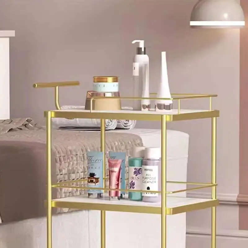 

Wheels Cart Iron Storage Hairdressing Beauty Suitcase Aesthetic Furniture Drawers Clinical Professional Muebles Belleza Salon