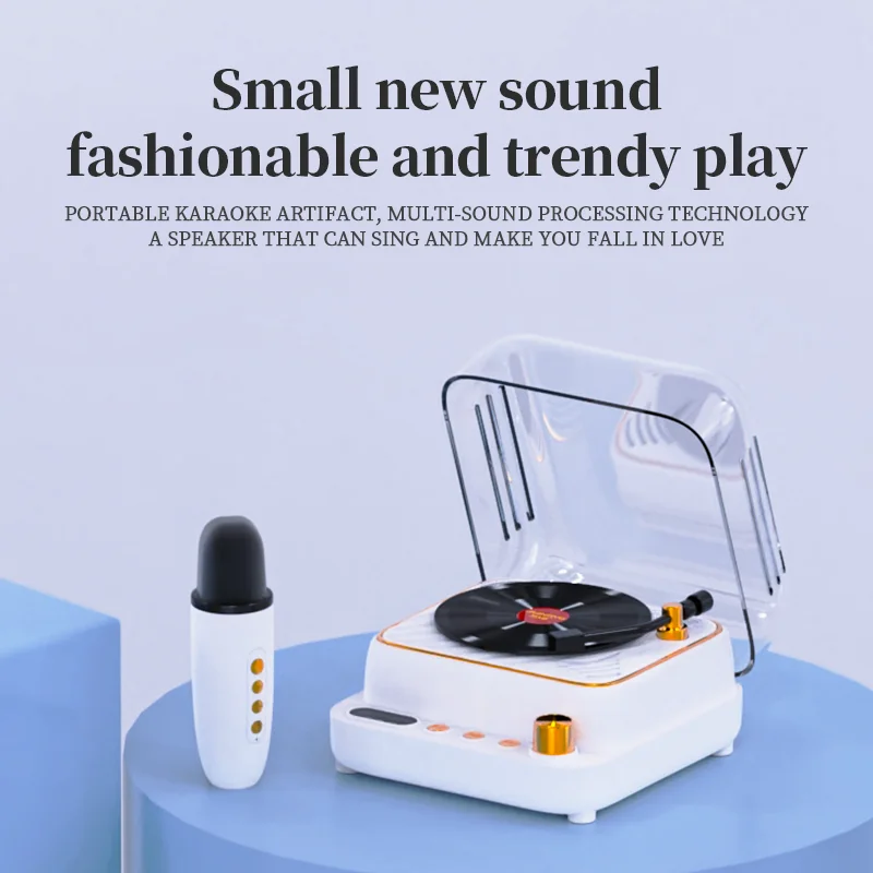 #Mini Bluetooth Speaker with 0-2 Wireless Microphones Music Box Retro Vinyl Record Player Portable FM Radio Karaoke Music Player