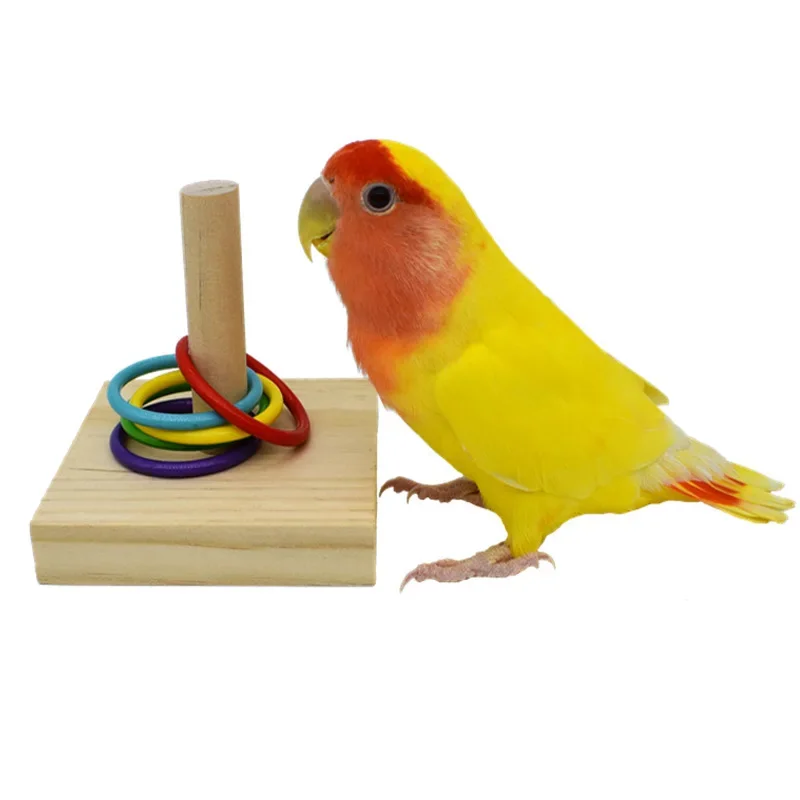 

Bird Supplies Bird Training Toys Set Wooden Block Puzzle Toys For Parrots Colorful Plastic Rings Intelligence Training Chew Toy