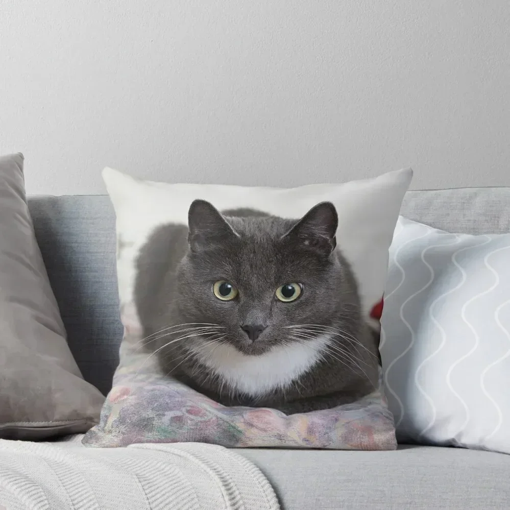 

Grey cat Throw Pillow pillowcases for sofa cushions Rectangular Cushion Cover Plaid Sofa Decorative pillow case pillow