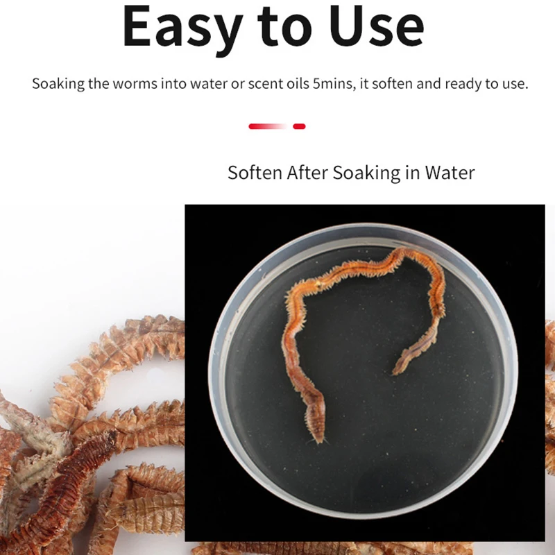 

100% Natural Dry Sandworm 10g Fishing Lures Outdoor Angling Tournament Seductive Food Carp Catching For Winter Ice Sea Fishing