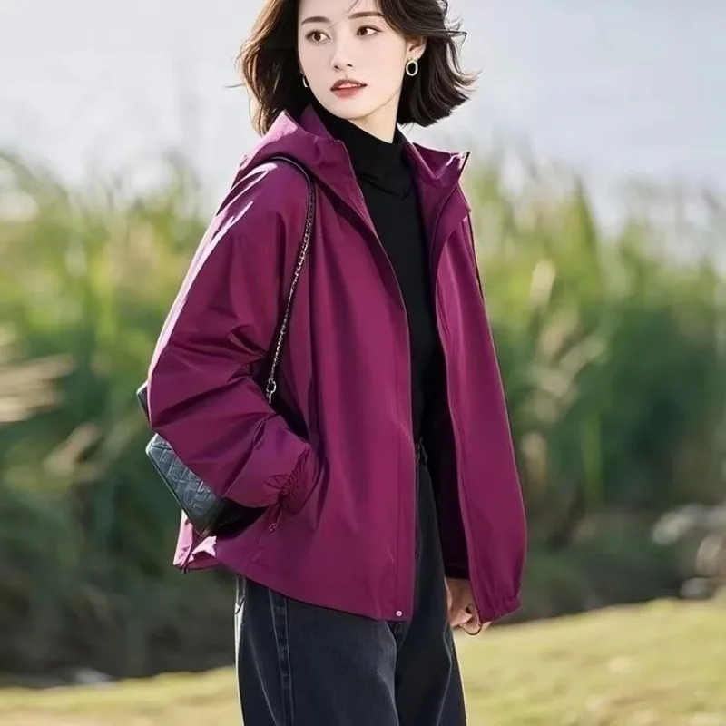 Hooded Comfortable Korean Style Casual Design Niche Unique Beautiful Plum Color Jacket for Women in Early Spring