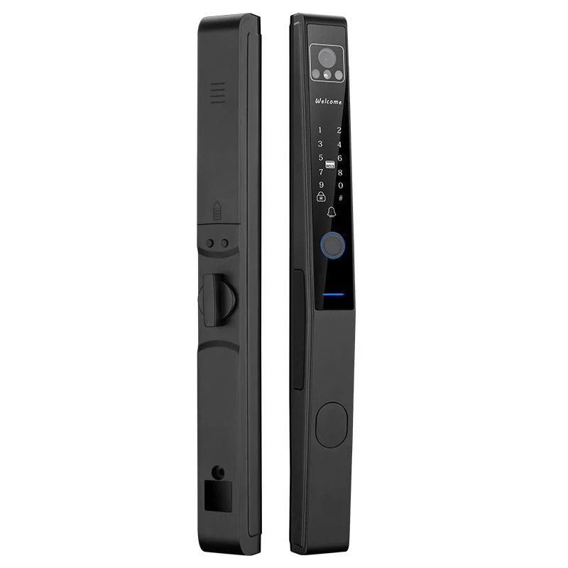 Smart Key Lock Aluminum Alloy Face Recognition Door Waterproof High Temperature Resistance  Broken Bridge