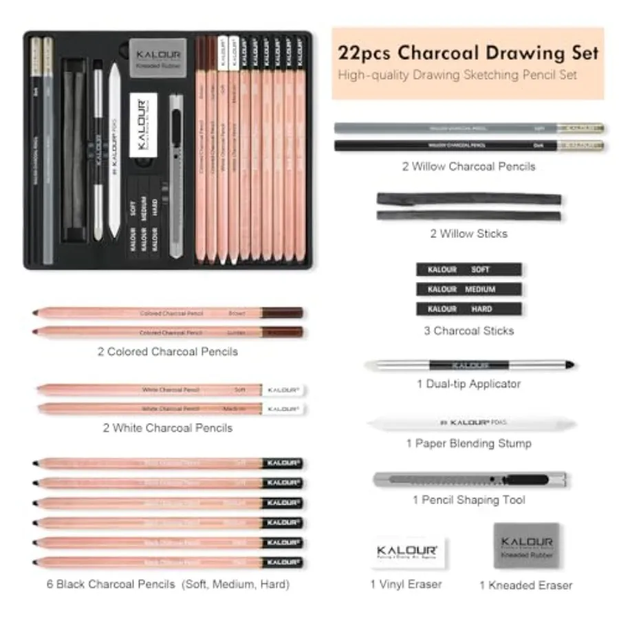22pcs Charcoal Drawing Set, Professional Art Supplies, Black and White Charcoal Pencils for Drawing, Sketching, Shading, Blendi