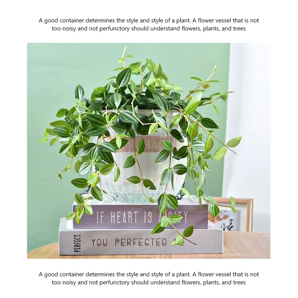 Transparent Hanging Hydroponics Flower Pots Beige Green with Chain Hydroponics Plant Hanger Basket Plastic Thicken