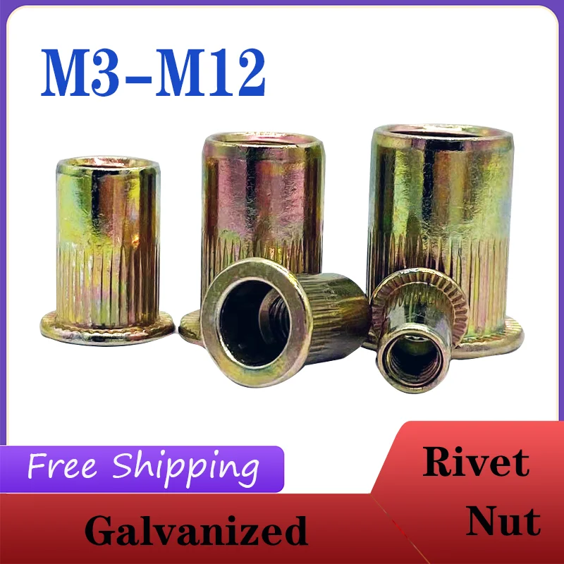 

Rivet Gun M3 M4 M5 M6 M8 M10 Zinc Plated Carbon Steel Knurled Nuts Rivnut Flat Head Threaded Rivet Insert Nutsert Cap Rivet Nut