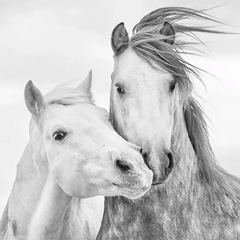 Custom 3D Photo Wallpaper Living Room Bedroom Wall Painting Nordic Modern Couple White Horse Wall Decor Mural Papel De Parede