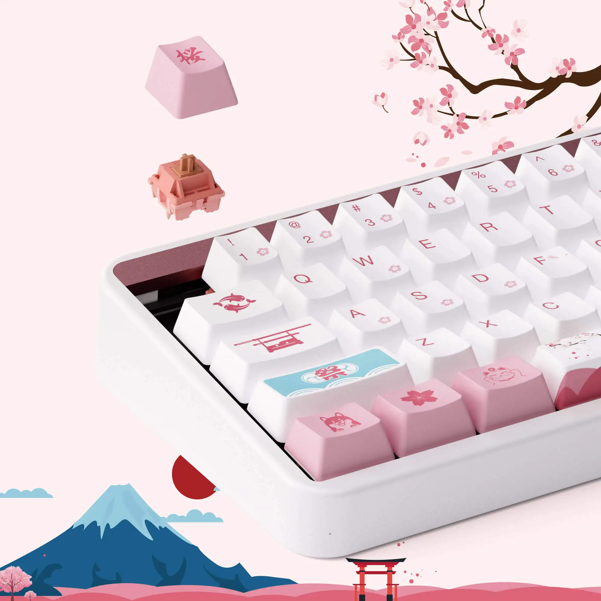 Akko JIN01 65 % benutzerdefinierte mechanische Tastatur 68 Tasten RGB Hot-Swap-fähige BT 5.0/2.4G Wireless & Typ-C kabelgebundene Aluminium-Gaming-Tastatur