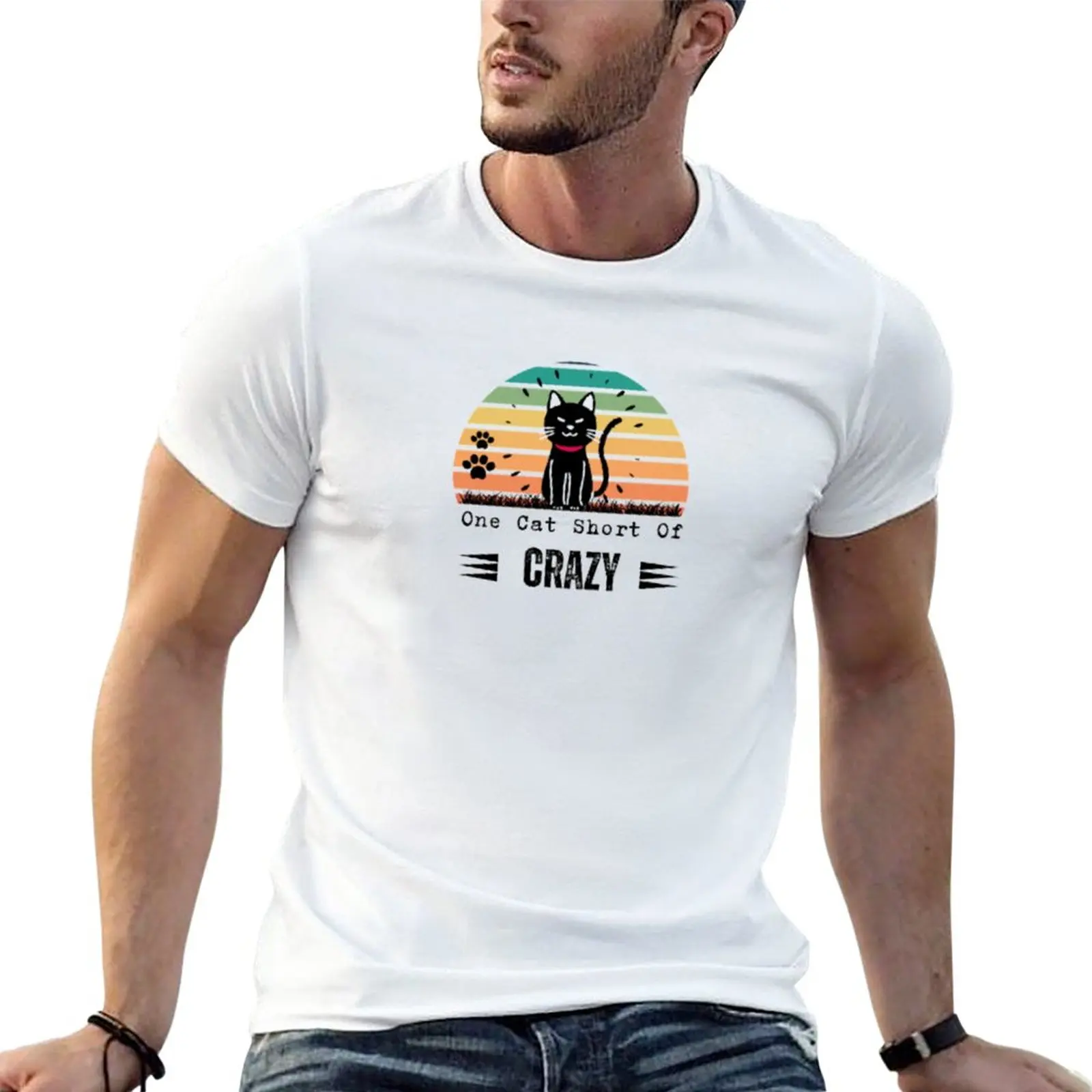 New one cat short of crazy T-Shirt t shirt man funny t shirts sweat shirts, men