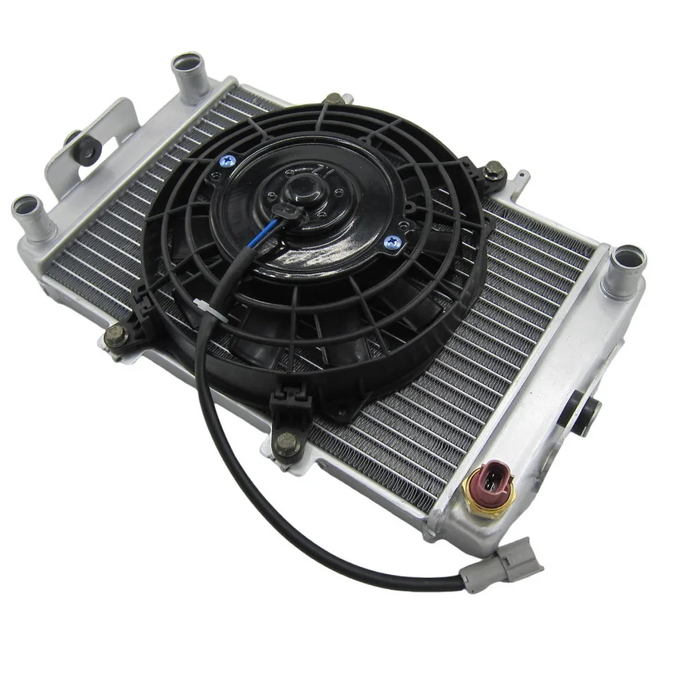 Feishen 300 Cooling Radiator and Fan Assy for Buyang 300 D300 Radiator Assy ATV Quad Parts