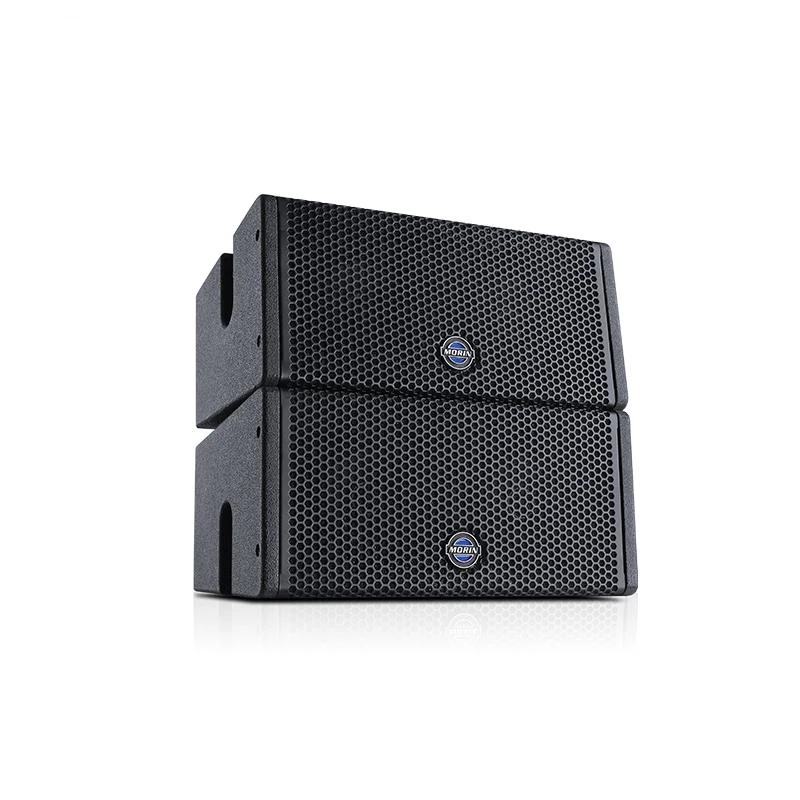 Gold SellerProfessional Dual 5 Inch Mini Line Array Active Sound System Coaxial Speaker for Outdoor Meetings Morin Cox-5.4 8ohm