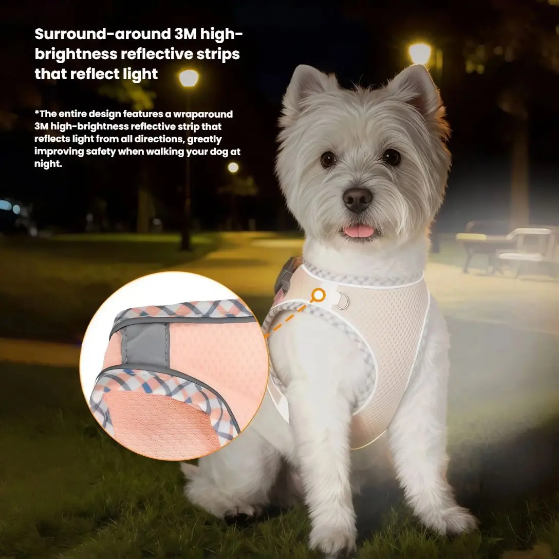 Thumbnail 4 - #51 Best Puppy Leads to Buy In 2026