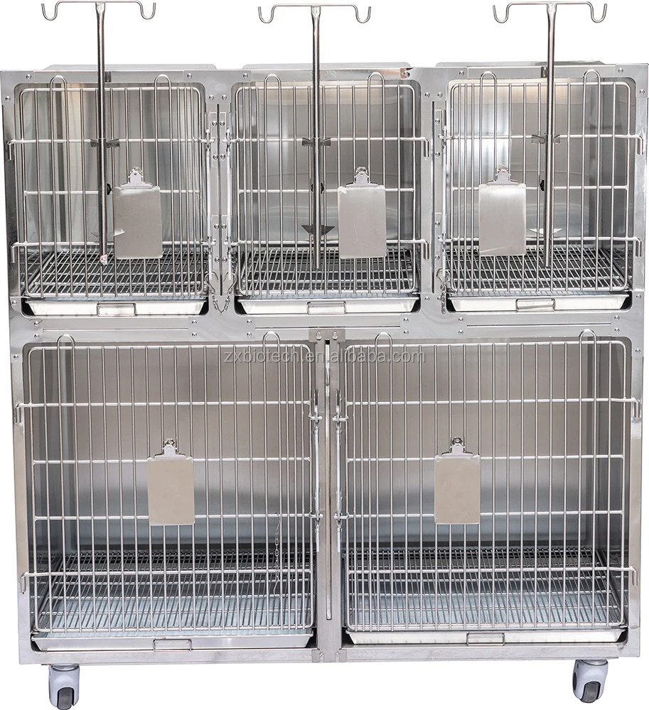 Veterinary Equipment Veterinary Hospital Clinic Stainless Steel 304 Cat Dog Pet Animal Cage