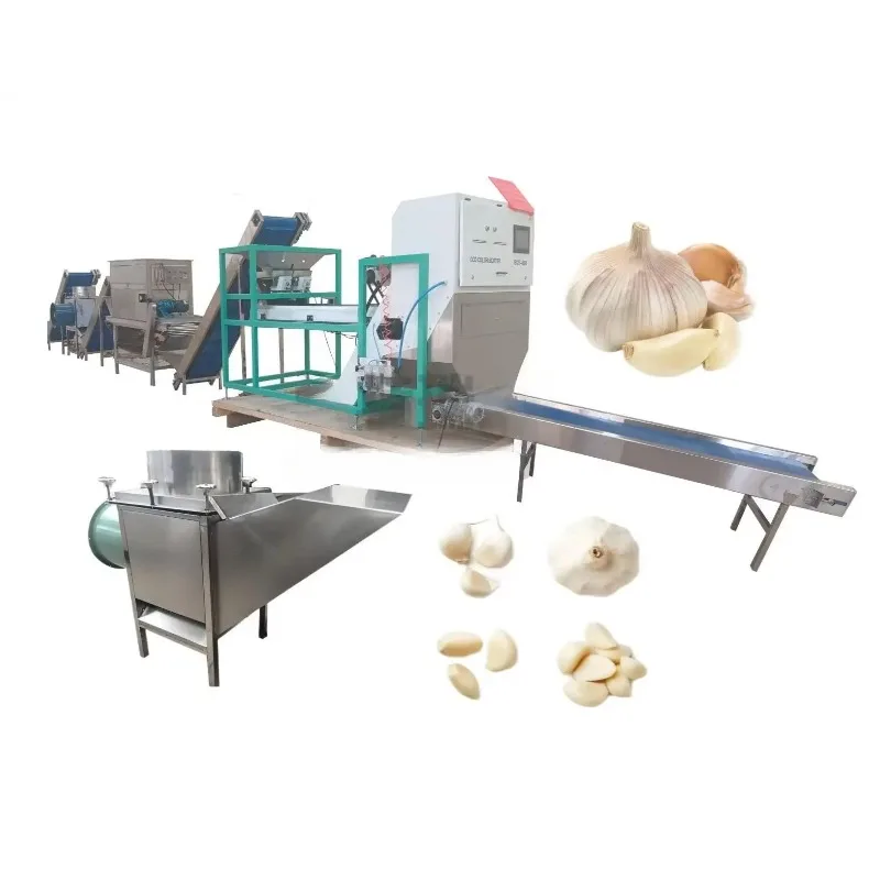 Full Automatic Garlic Processing Production Line Garlic Breaking Peeling Sorting Complete Processing Machine Customized