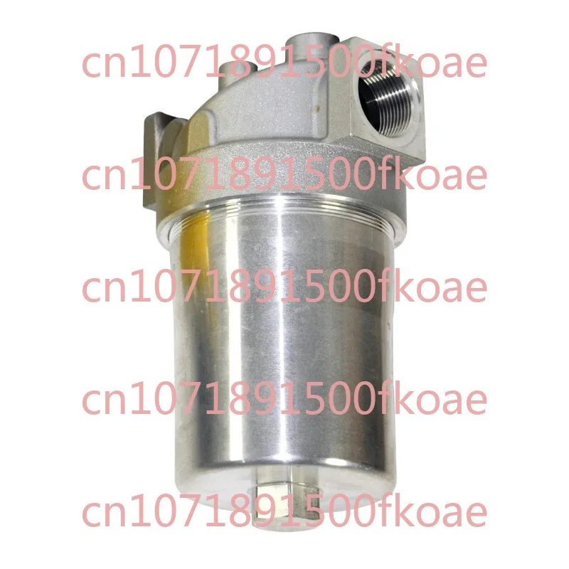 

Low Pressure Filter Pi 2015-060/77840580 with Filter Element PI 1015 MIC 25