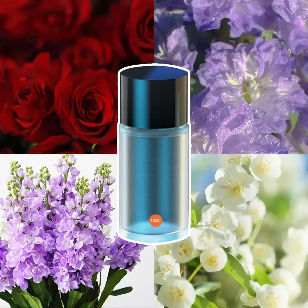 10ml Car Air Outlet Perfume Refill Liquid Strong Aroma Essential Oil with Dropper Auto Fragrance Aromatherapy Supplement Liquid