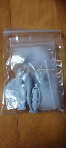 Buyer photo of this resin kit