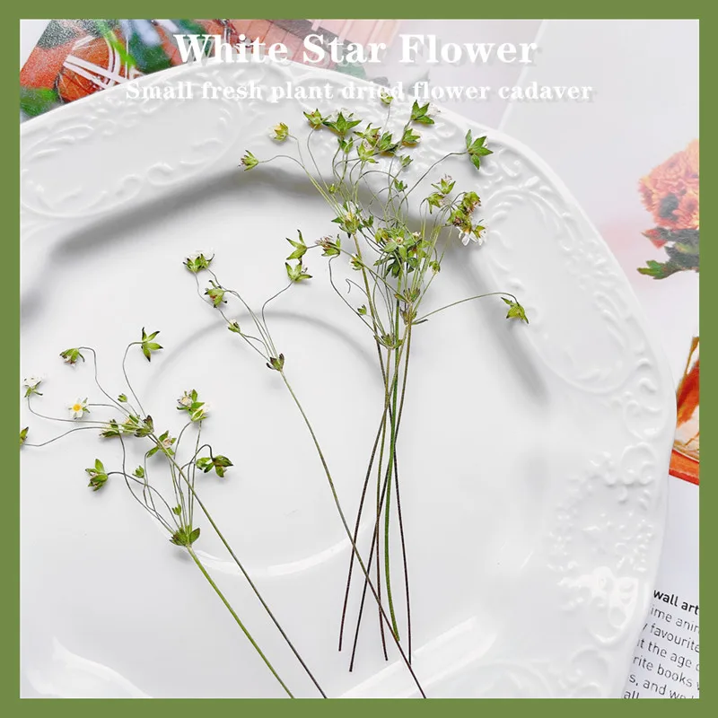 6-10 cm/24 Stück, gepresste Blume, DIY-Nagelkunst, trockene Blume, Tropfkleber, Handyhülle, Schreibtischlampe, Fotorahmen, Hochzeit, Grußkartenmaterialien – Detail 2