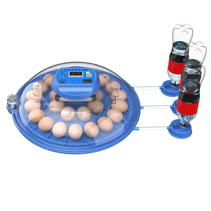 Dual Power 60 Chicken Eggs Incubators Automatic Hatching Machine