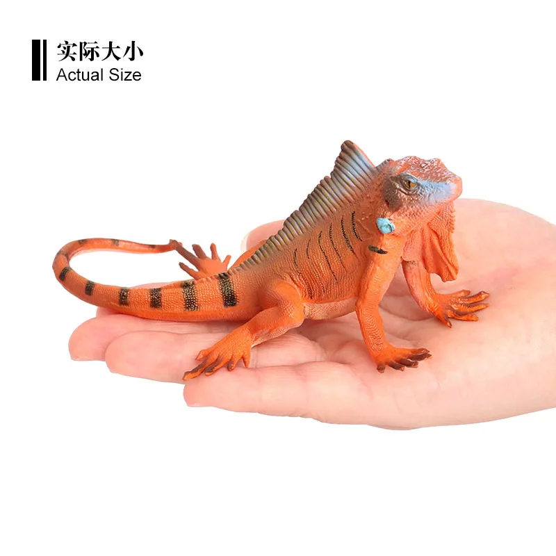 Simulado modelo de réptil selvagem lagarto sólido estático iguana americana brinquedo de plástico ornamento cognição infantil