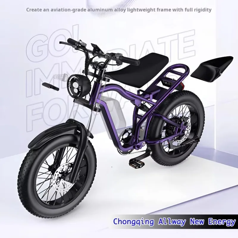 Allway CE Certificate Electric Bike 1000W 48V 16Ah Long Range Adult Ebike Bicycle