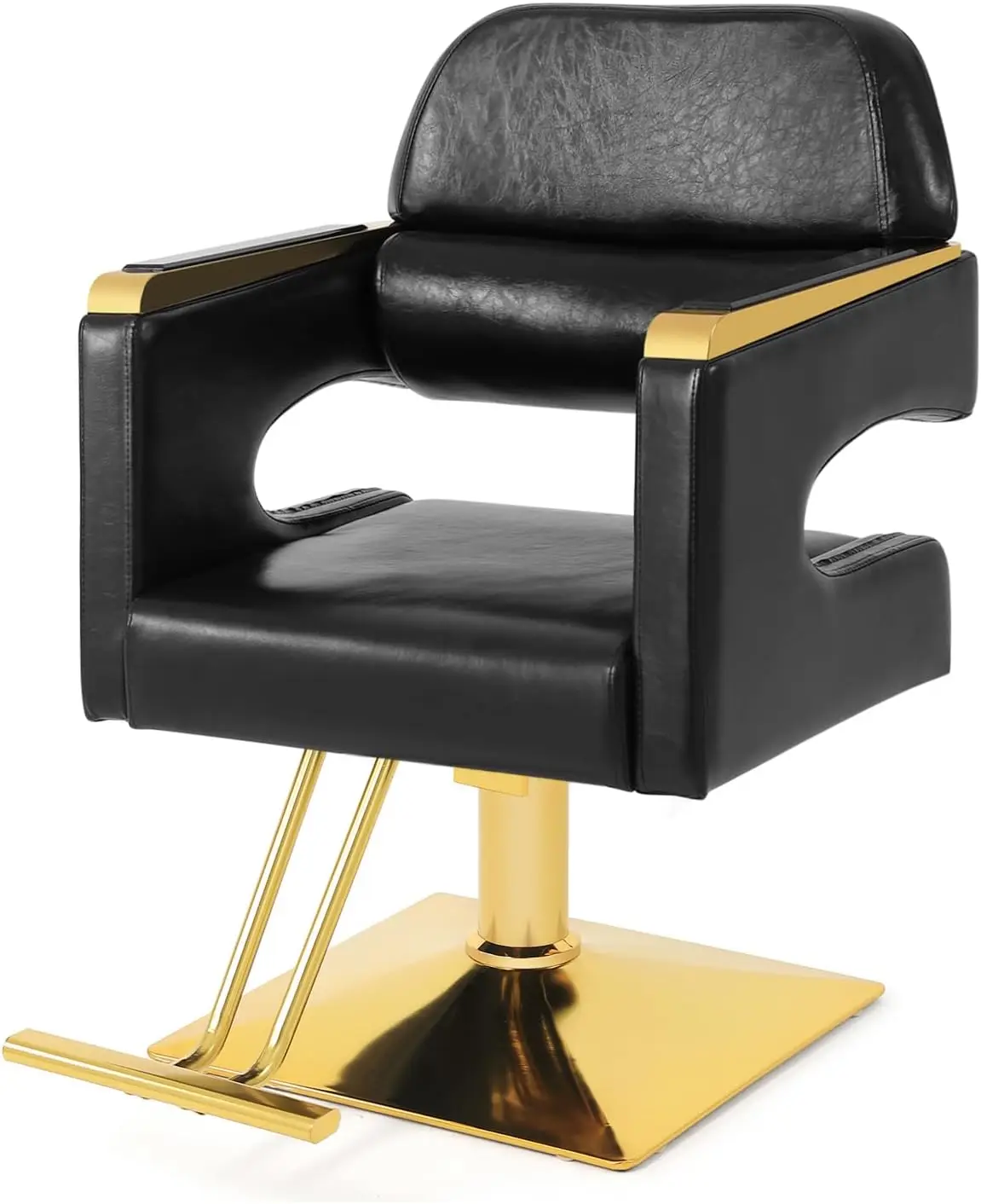 

Stylist Chairs for Salon Chair for Hair Stylist,Hydraulic Barber Chair 360 Degree Swivel Hair Chair Modern & Comfort,Spa Beauty