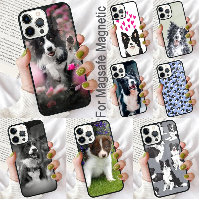 Cartoon Border Collie Magnetic Soft Phone Case for iPhone 16 Promax 15 Pro 13 14 Plus 11 12 Mini MagSafe Coque