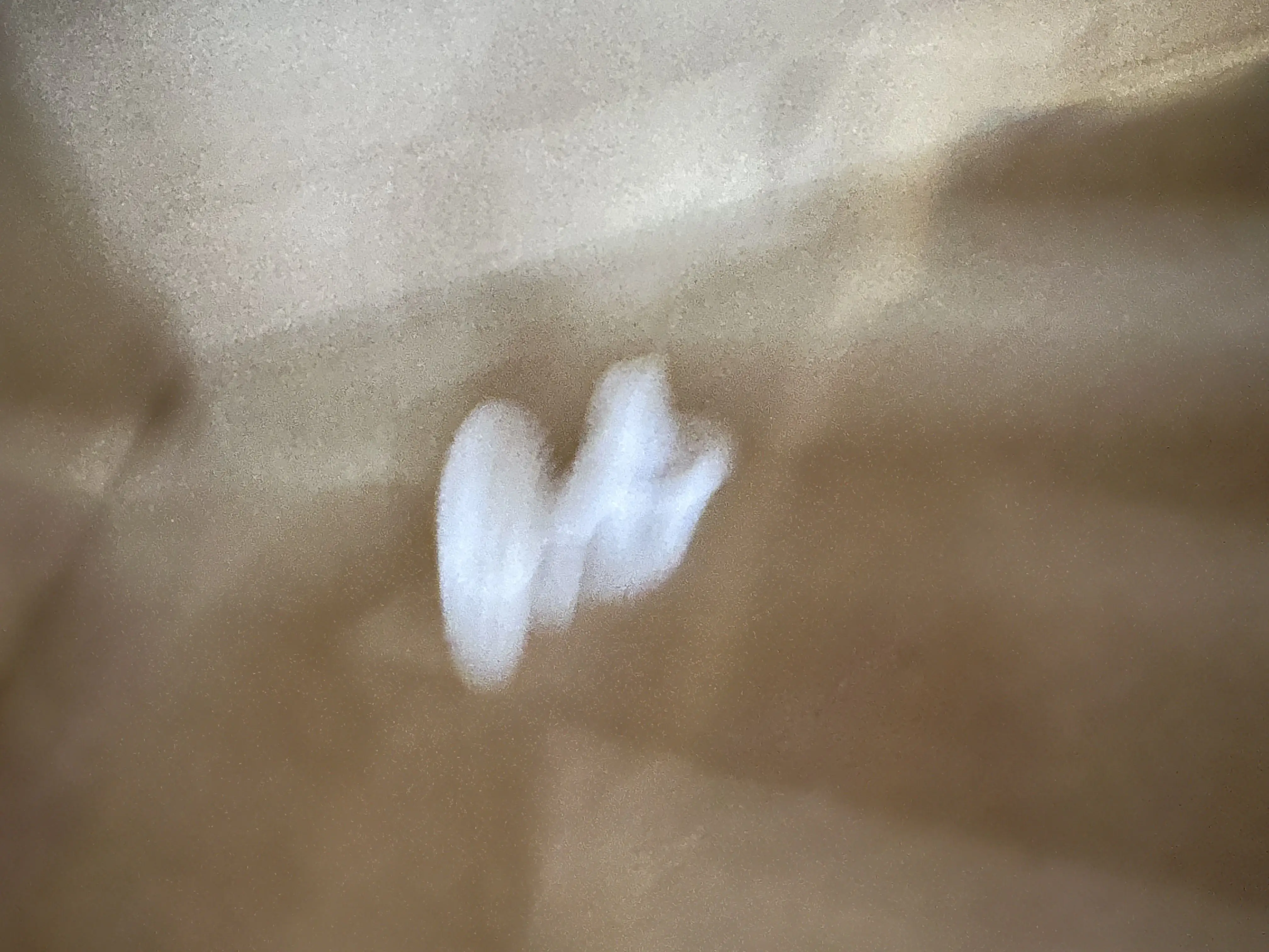 

10X 1779304 Пикап ASF для EPSON L4150 L4151 L4158 L4160 L4165 L4166 L4167 L4168 L4169 L6166 L6167 L6168 L6170 L6176