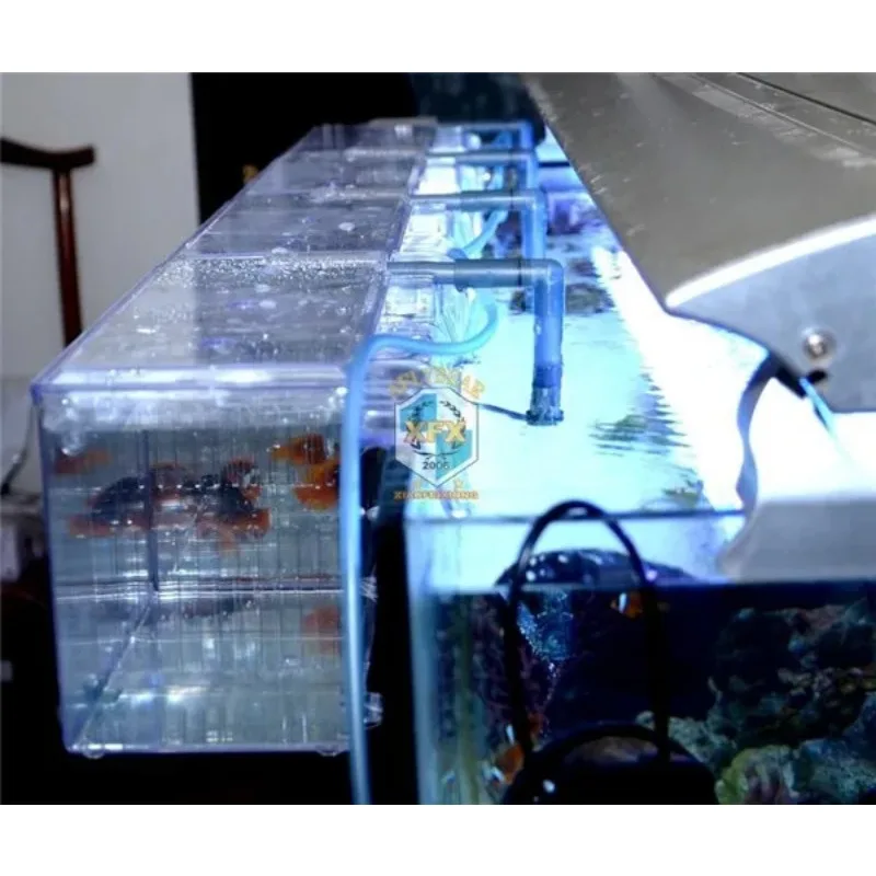 Suspend aquarium arcylic guppy baby small fish separation breeding box sick fish air promote